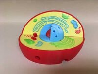 Модель растительной клетки - fgospostavki.ru - Обнинск