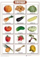 Таблицы "Окружающий мир" (формат А2, ламинированные, 10 таблиц) - fgospostavki.ru - Обнинск
