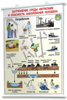 Плакаты по общей экологии для оформления кабинета. - fgospostavki.ru - Обнинск