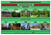 Стенд-планшет электрифицированный «Оценка пожарной опасности в лесах»  - fgospostavki.ru - Обнинск