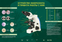 Электрифицированный стенд "Устройство микроскопа и правила работы c ним" - fgospostavki.ru - Обнинск