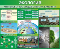 Стенд "Экология. Антропогенное воздействие на биосферу" - fgospostavki.ru - Обнинск