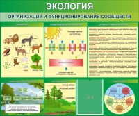 Стенд "Экология. Организация и функционирование сообществ" - fgospostavki.ru - Обнинск