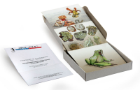 Модель-аппликация "Взаимодействия в природных сообществах" (набор из 23 карт) - fgospostavki.ru - Обнинск