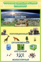 Стенд "Уровни организации живого" - fgospostavki.ru - Обнинск