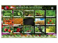 Комплект оборудования "Живой уголок" (растения) - fgospostavki.ru - Обнинск
