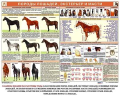 Комплект плакатов "Служебное коневодство" - fgospostavki.ru - Обнинск