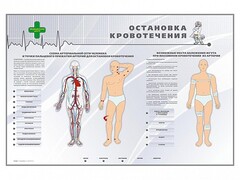 Электрифицированный стенд "Остановка кровотечения" - fgospostavki.ru - Обнинск