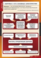 Комплект таблиц. ОБЖ. Здоровый образ жизни. - fgospostavki.ru - Обнинск
