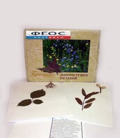 Гербарий "Дикорастущие растения" (28 видов) - fgospostavki.ru - Обнинск