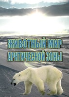 DVD "Животный мир Арктической зоны" - fgospostavki.ru - Обнинск