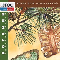 Ботаника. Микрофотографии. (Цифровая база изображений) - fgospostavki.ru - Обнинск