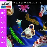 Биология. Микрофотографии. (Цифровая база изображений) - fgospostavki.ru - Обнинск