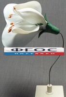 Модель "Цветок гороха" - fgospostavki.ru - Обнинск