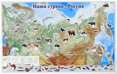 Магнитные карточки "Животные" - fgospostavki.ru - Обнинск