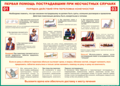 Таблица "Порядок действий при переломах конечностей" (100х140 сантиметров, винил) - fgospostavki.ru - Обнинск