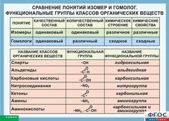 Таблица. Сравнение понятий изомер и гомолог. Функциональные группы классов органических веществ. - fgospostavki.ru - Обнинск