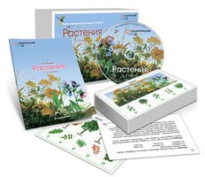 Комбинированное наглядное пособие «Растения» - fgospostavki.ru - Обнинск