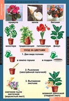 Комплект таблиц. Окружающий мир 1 класс. - fgospostavki.ru - Обнинск
