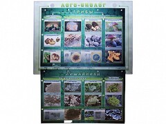 Комбинированный модульный комплекс "Лого-биолог" - fgospostavki.ru - Обнинск