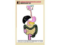 Рельефная таблица "Пищеварительный тракт" (формат А1, матовое ламинирование) - fgospostavki.ru - Обнинск