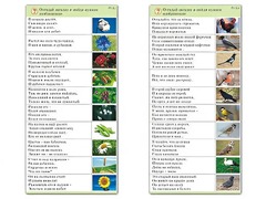 Комплект карточек (10) "Обучающий калейдоскоп. Природа" - fgospostavki.ru - Обнинск