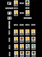 Модель-аппликация "Дигибридное скрещивание" (ламинированная) - fgospostavki.ru - Обнинск