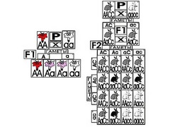 Модель-аппликация "Неполное доминирование и взаимодействие генов" (ламинированная) - fgospostavki.ru - Обнинск