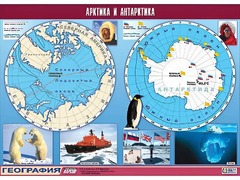 Таблица демонстрационная "Арктика и Антарктика" (винил 100*140) - fgospostavki.ru - Обнинск