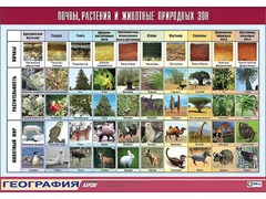 Таблица демонстрационная "Почвы, растения и животные природных зон" (винил 100*140) - fgospostavki.ru - Обнинск