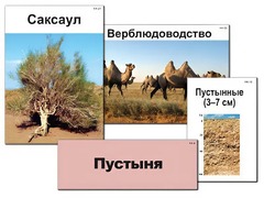 Модель-аппликация "Природные зоны России" (ламинированная) - fgospostavki.ru - Обнинск
