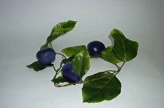 Ветка муляжей "Слива" - fgospostavki.ru - Обнинск