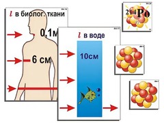 Модель-аппликация "Явление радиоактивности" (ламинированная) - fgospostavki.ru - Обнинск