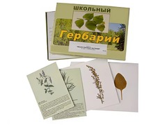 Гербарий "Лекарственные растения" (22 вида с иллюстрациями) - fgospostavki.ru - Обнинск