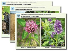 Гербарий фотографический "Сельскохозяйственные растения России" - fgospostavki.ru - Обнинск
