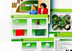 Коллекция "Шелк и продукты его переработки" (средняя школа) - fgospostavki.ru - Обнинск