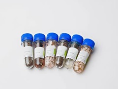 Набор № 6 ОС Щелочные и щелочноземельные металлы - fgospostavki.ru - Обнинск