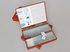 Комплект микропрепаратов "Ботаника 1" - fgospostavki.ru - Обнинск