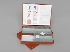 Комплект микропрепаратов "Общая биология" - fgospostavki.ru - Обнинск