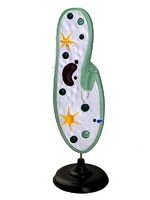 Модель инфузории-туфельки - fgospostavki.ru - Обнинск