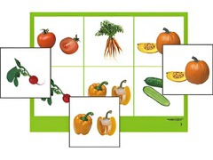Логопедическое лото "Овощи" (4 планшета, 24 карточки, цветное, ламинированное) - fgospostavki.ru - Обнинск