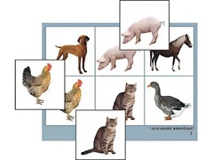 Логопедическое лото "Домашние животные" (4 планшета, 24 карточки, цветное, ламинированное) - fgospostavki.ru - Обнинск