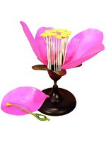 Модель цветка яблони - fgospostavki.ru - Обнинск