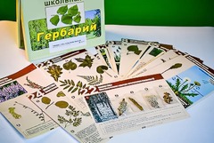 Гербарий к курсу основ общей биологии - fgospostavki.ru - Обнинск