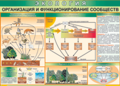 Таблица "Организация и функционирование сообществ" (100х140 сантиметров, винил) - fgospostavki.ru - Обнинск
