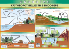 Таблица "Круговорот веществ в биосфере" (100х140 сантиметров, винил) - fgospostavki.ru - Обнинск