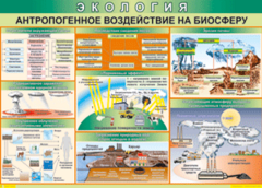 Таблица "Антропогенное воздействие на биосферу" (100х140 сантиметров, винил) - fgospostavki.ru - Обнинск