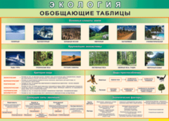 Таблица "Экология. Обобщающие таблицы" (100х140 сантиметров, винил) - fgospostavki.ru - Обнинск