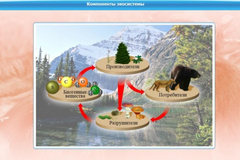 Интерактивные курсы. Биология 7 класс. Базовый. - fgospostavki.ru - Обнинск