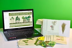 Гербарий натурально-интерактивный "Растительные сообщества. Лес" - fgospostavki.ru - Обнинск